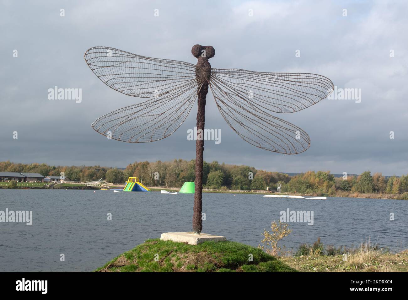 Damselfly Skulptur im North Yorkshire Water Park, Wykeham Stockfoto