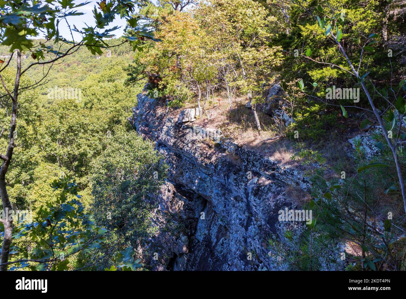 Wandern auf dem Sam's Loop Trail in Arkansas Stockfoto