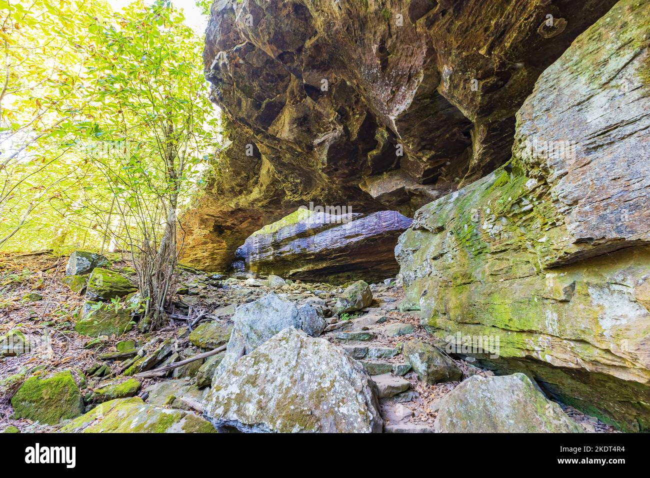 Wandern auf dem Alum Cove Trail in Arkansas Stockfoto