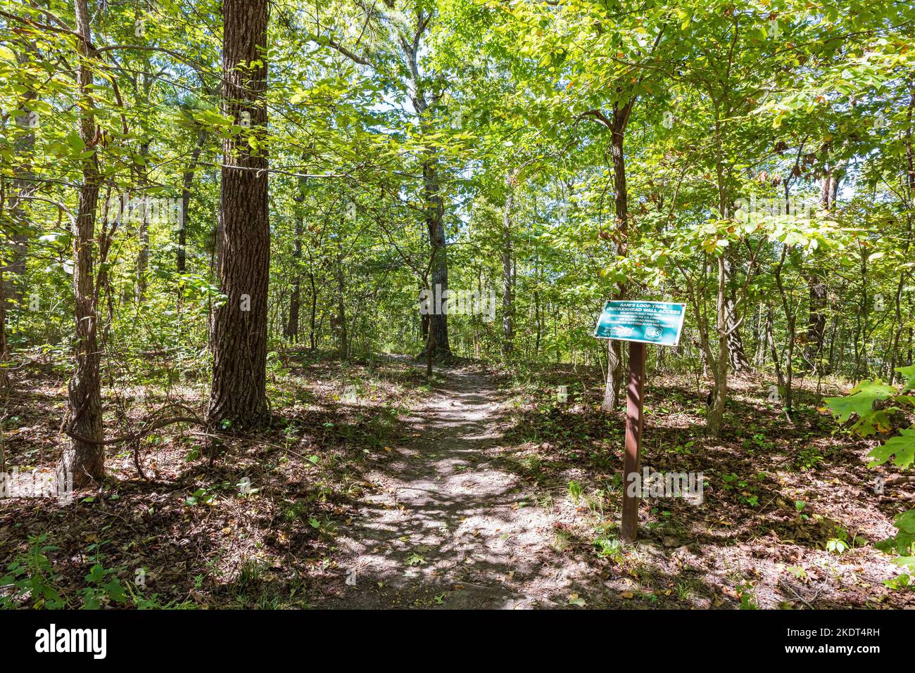 Wandern auf dem Sam's Loop Trail in Arkansas Stockfoto
