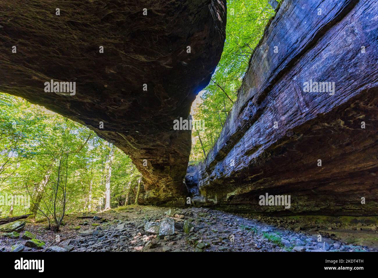Wandern auf dem Alum Cove Trail in Arkansas Stockfoto
