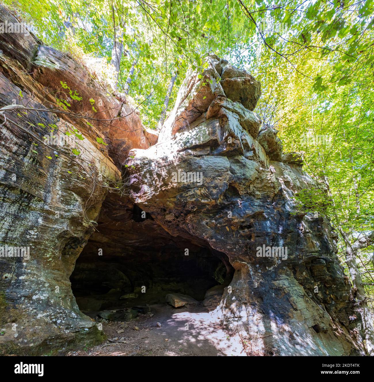 Wandern auf dem Alum Cove Trail in Arkansas Stockfoto