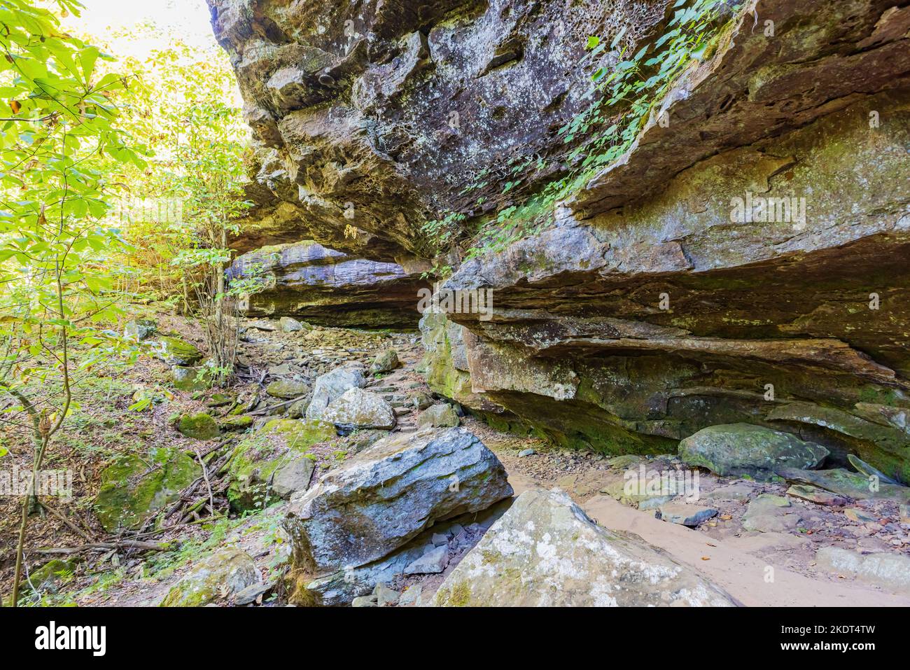 Wandern auf dem Alum Cove Trail in Arkansas Stockfoto