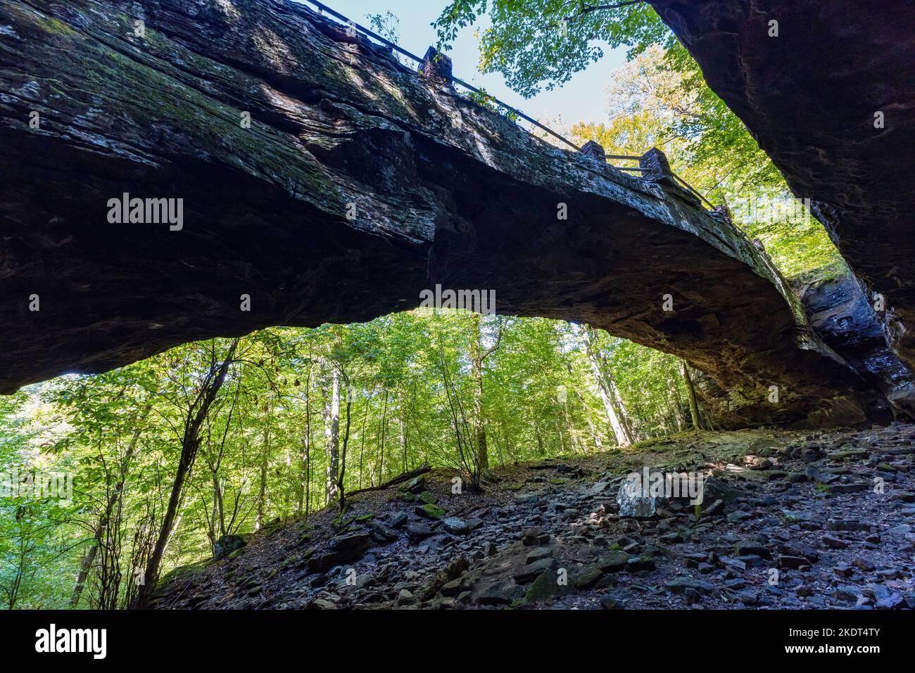 Wandern auf dem Alum Cove Trail in Arkansas Stockfoto