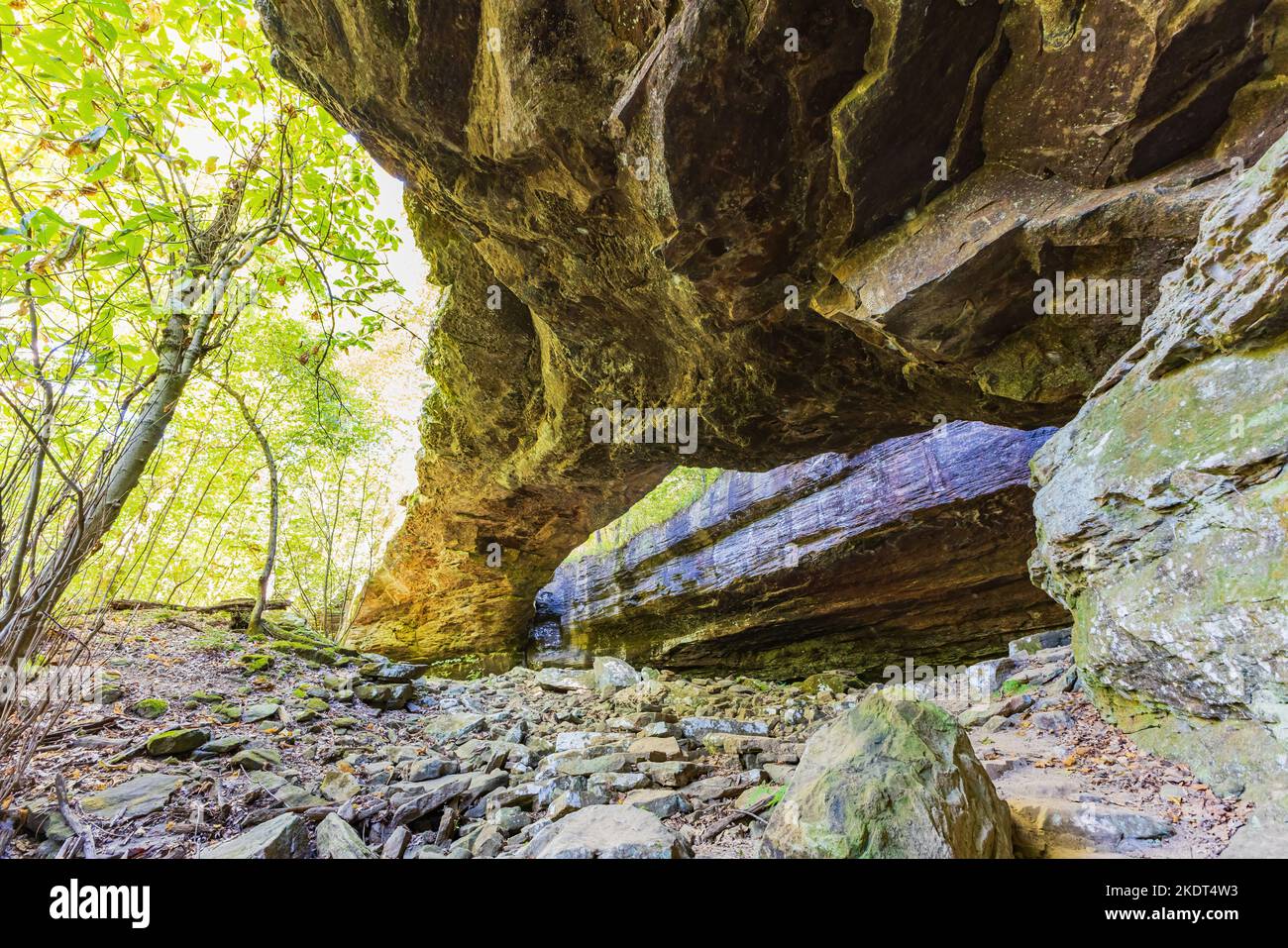 Wandern auf dem Alum Cove Trail in Arkansas Stockfoto