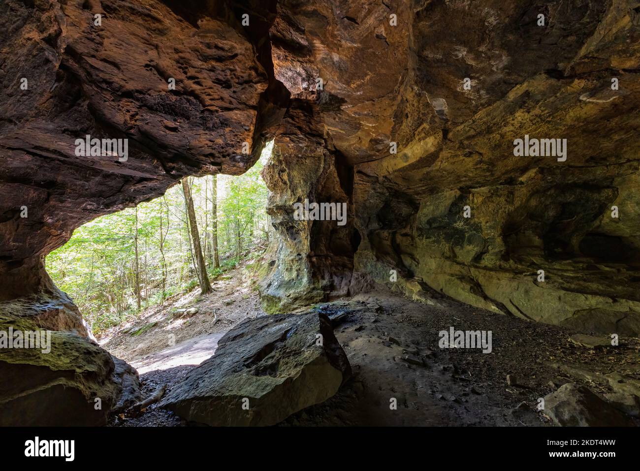 Wandern auf dem Alum Cove Trail in Arkansas Stockfoto