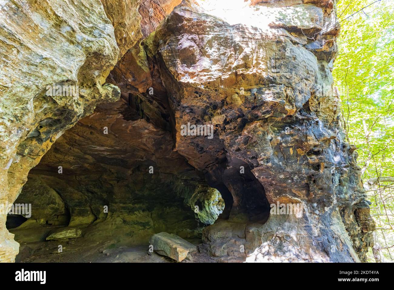 Wandern auf dem Alum Cove Trail in Arkansas Stockfoto