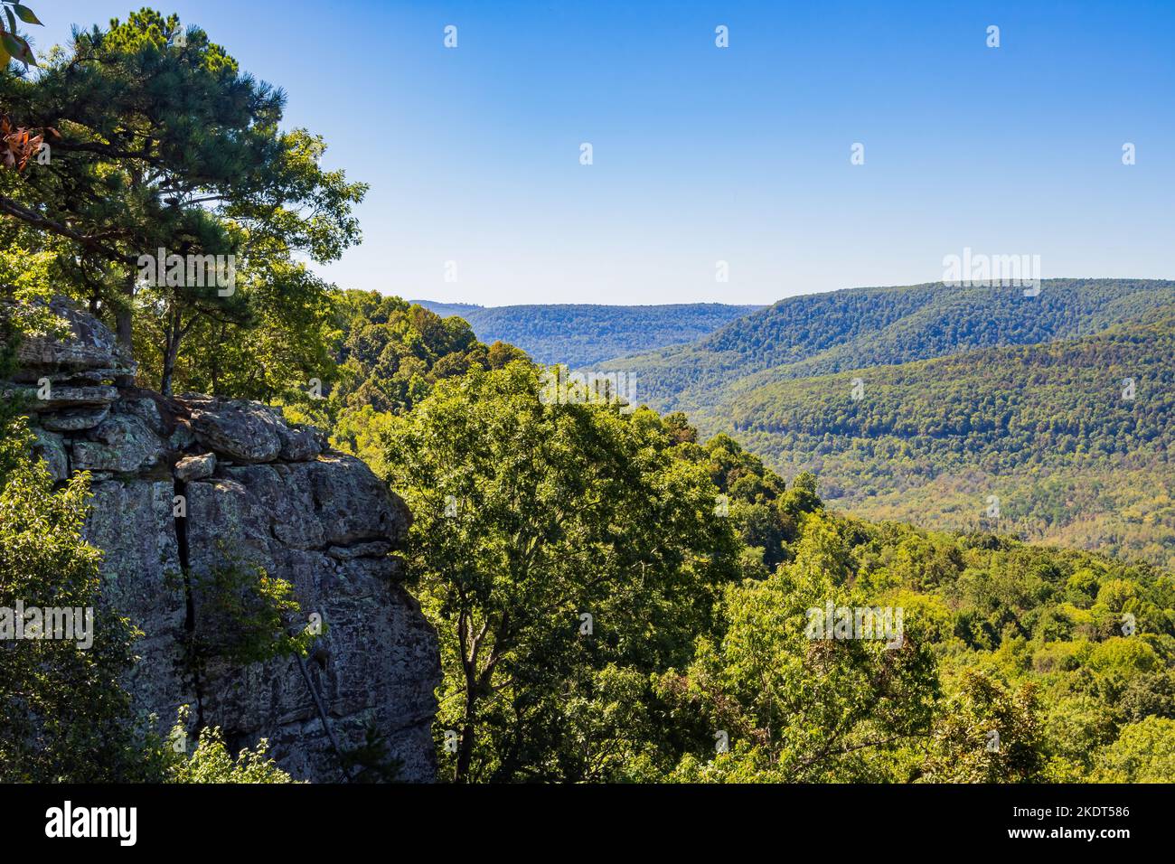 Wandern auf dem Sam's Loop Trail in Arkansas Stockfoto