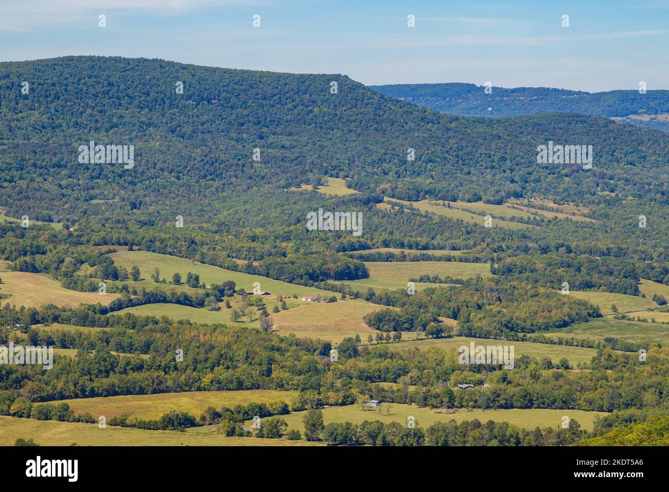 Wandern auf dem Sam's Loop Trail in Arkansas Stockfoto