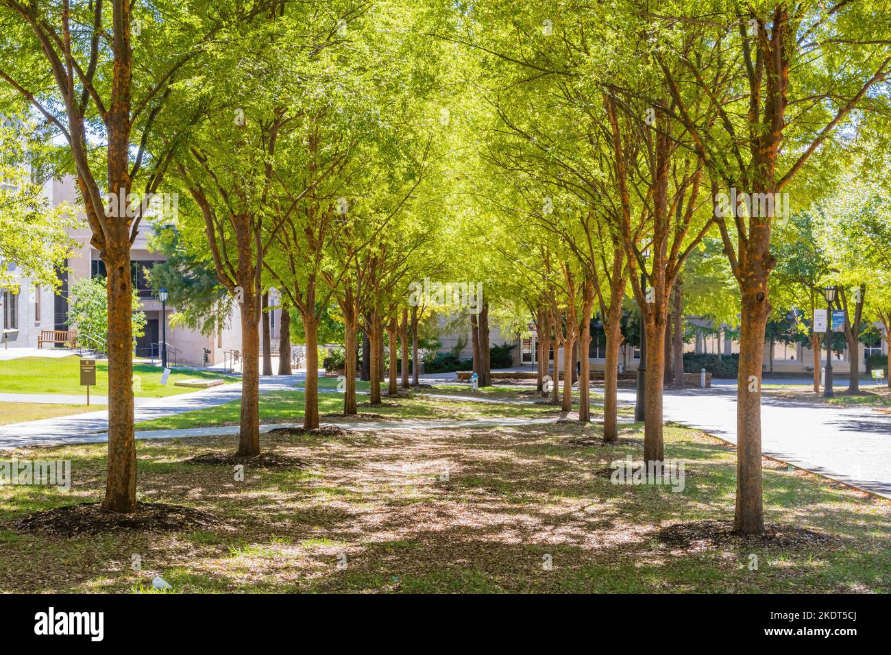 Sonnige Außenansicht des Campus der University of Arkansas in Arkansas Stockfoto