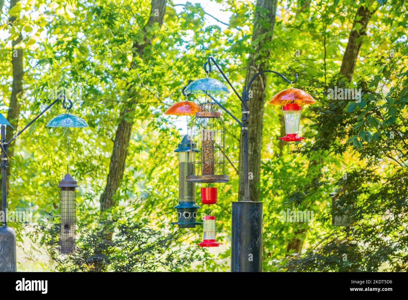 Nahaufnahme vieler Vogelfutterhäuschen, die im Botanischen Garten der Ozarks in Arkansas hängen Stockfoto