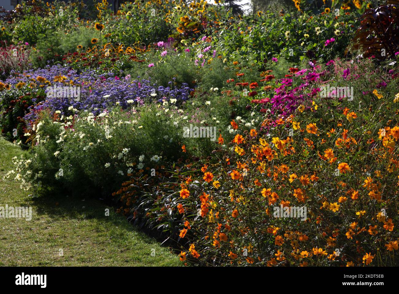 Im frühen Herbst farbenfrohe Gartenbands im englischen Garten Stockfoto