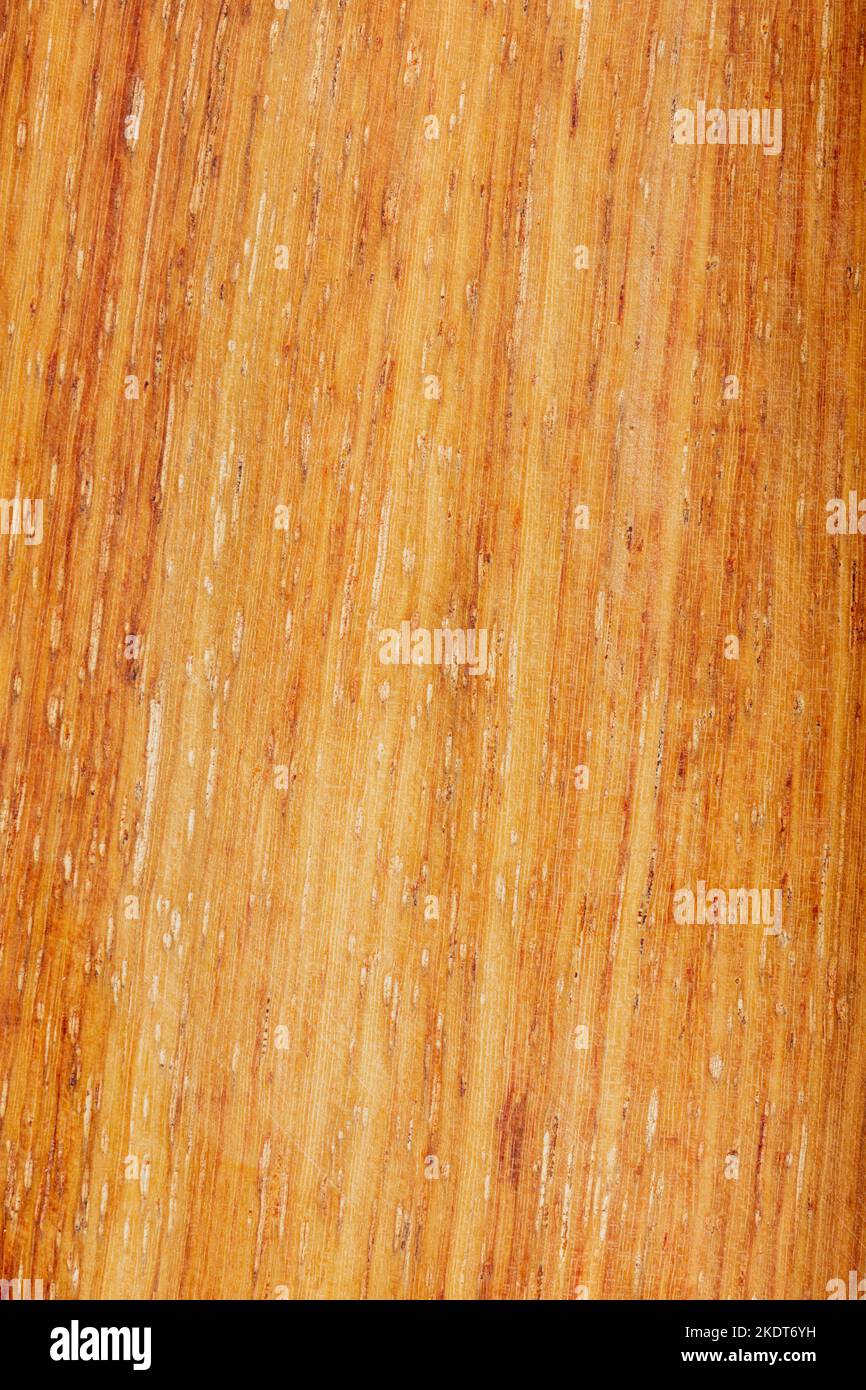 Makrofotografie eines stabilisierten Holzblocks mit einem Farbstoff, die Textur von dekorativem Holz Betula pendula, Karelika, Naturholz Muster, Natura Stockfoto
