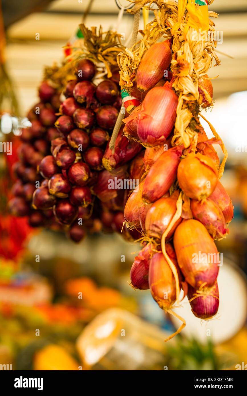 Der Campo de’ Fiori (Blumenfeld) ist einer der Hauptplätze Roms. Stockfoto