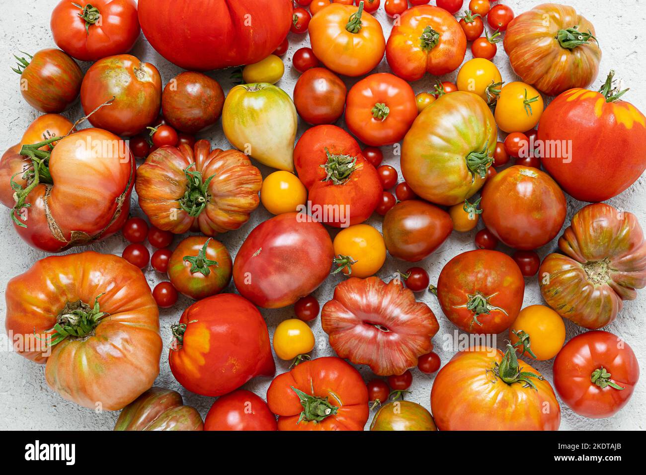 Vielfalt von Bio unbehandelten bunten Tomaten auf einem hellen Hintergrund, wachsen Sie Ihre eigene Nahrung und Ernte Konzeption Stockfoto