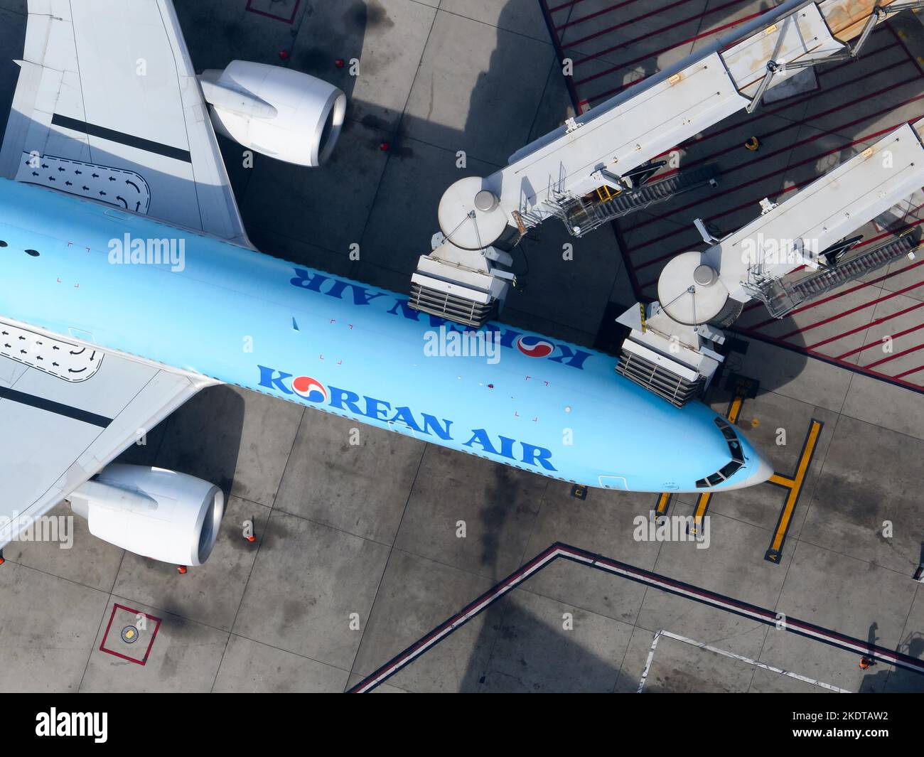 Korea Flugzeug Absturz 2025 Nfl Viva Alverta