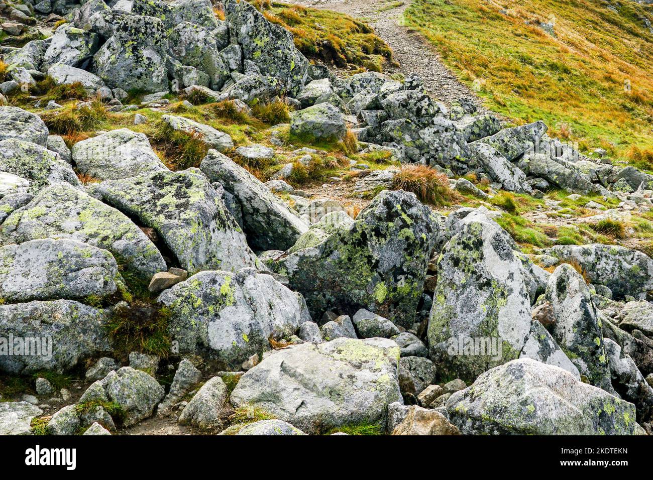 Schöne Aussicht auf alte moosige Steine in einem Bergtal in der polnischen Tatra Stockfoto