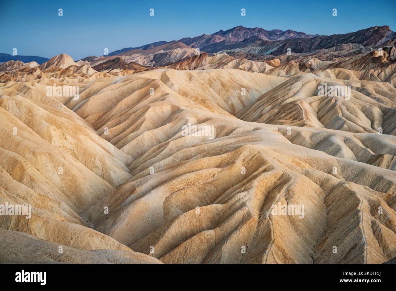 Zabriskie Point im Death Valley National Park, Kalifornien, USA in der Dämmerung. Stockfoto