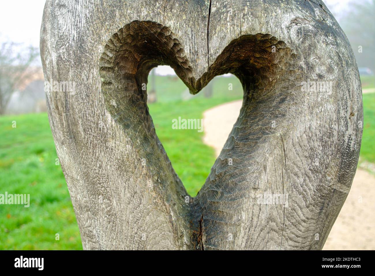 Herzform in Holz geschnitzt. Valentinstag-Feier Stockfoto