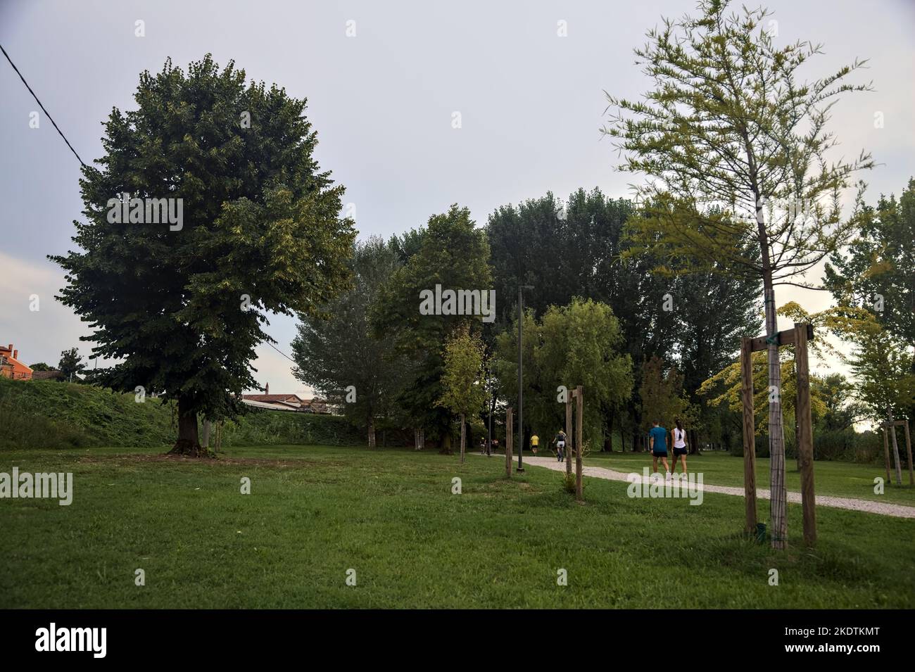 Freiraum mit Pappel neben einem Feldweg und einem Damm an einem bewölkten Tag Stockfoto