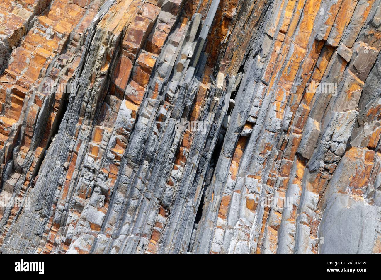 Verdrehte, deformierte Sandstein-, Schlammstein- und Siltstone-Gesteinsschichten in Küstenklippen, Sandymouth Bay, nahe Bude, Nord-Cornwall, Großbritannien, Juli 2022. Stockfoto
