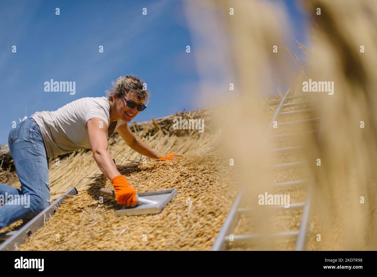 Bild von Jim Wileman - Jane Rush, aufgenommen auf der Lower Jurston Farm, in der Nähe von Chagford, Devon. Jane stroht auf ihrem eigenen Dach. Stockfoto