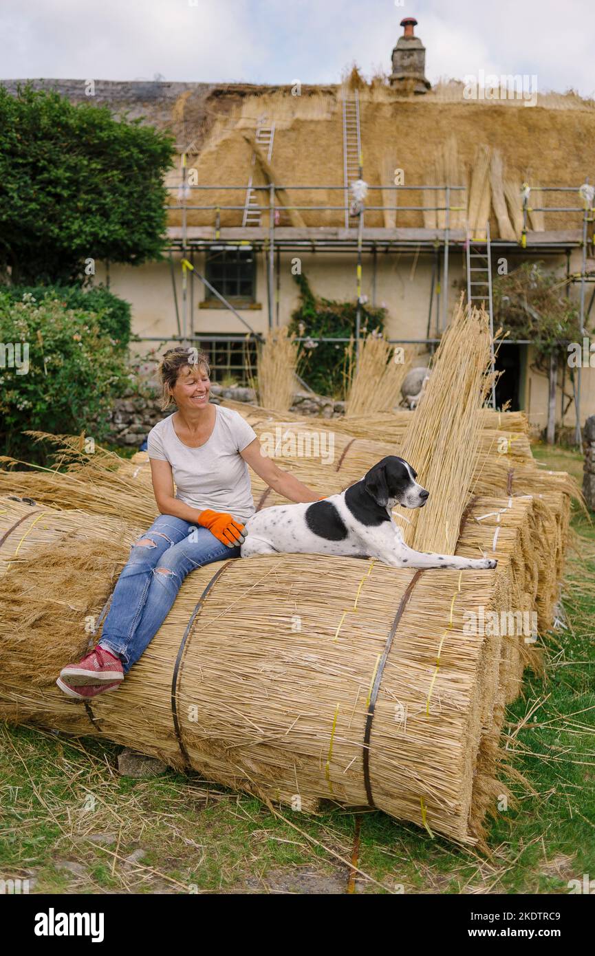Bild von Jim Wileman - Jane Rush, aufgenommen auf der Lower Jurston Farm, in der Nähe von Chagford, Devon. Jane stroht auf ihrem eigenen Dach. Stockfoto