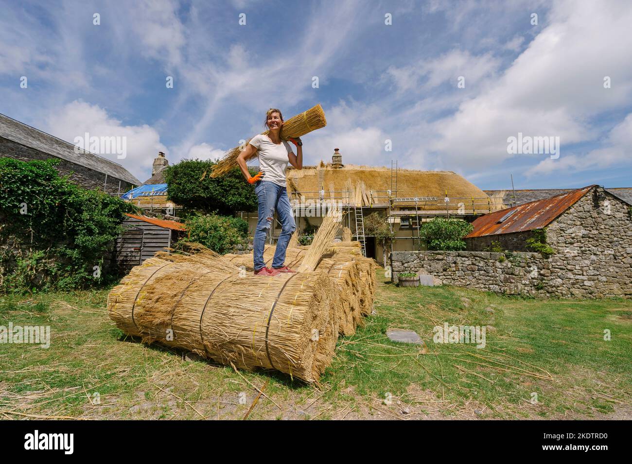 Bild von Jim Wileman - Jane Rush, aufgenommen auf der Lower Jurston Farm, in der Nähe von Chagford, Devon. Jane stroht auf ihrem eigenen Dach. Stockfoto