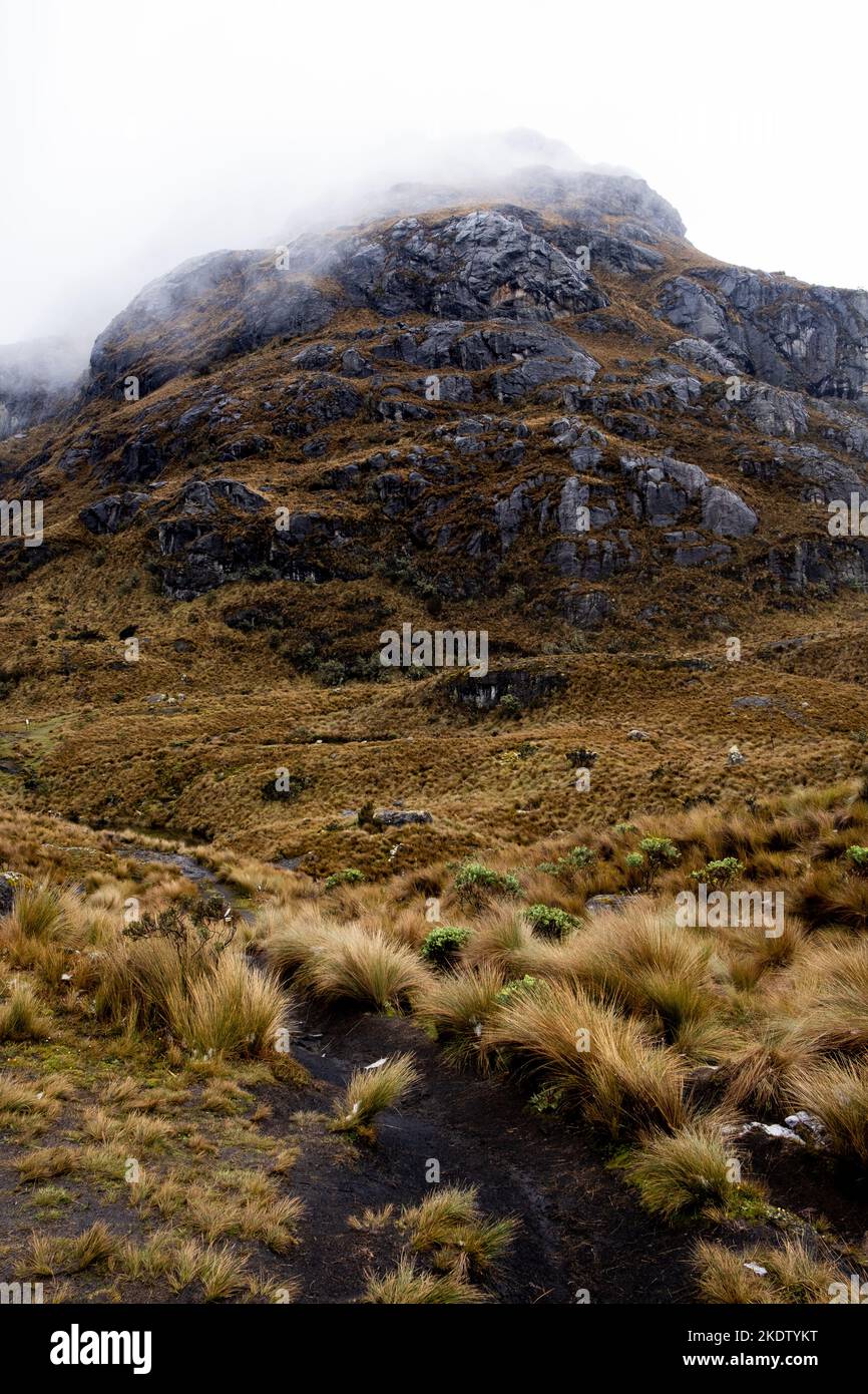 Ein dramatischer vertikaler Blick auf einen Pfad und einen nebligen hohen Gipfel im Nationalpark von der Region von den Anden in Ecuador an einem regnerischen und bewölkten Tag Stockfoto