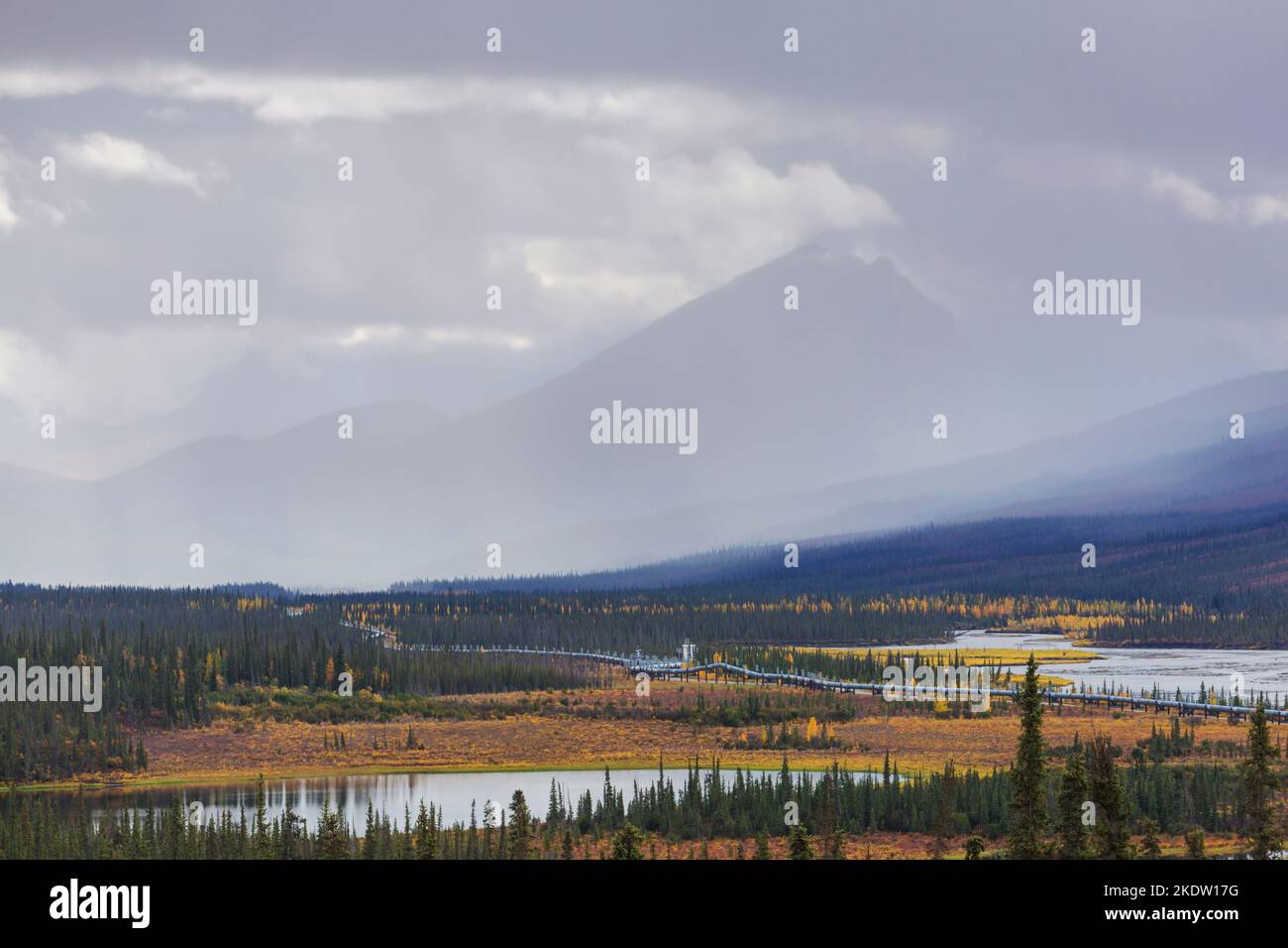 USA, Alaska, Dalton Highway Pipeline im Tal Stockfoto