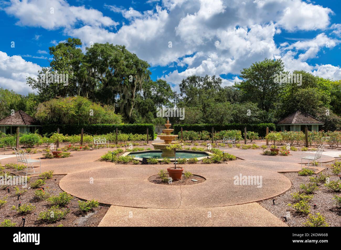 Eine Gasse im Garten mit wunderschönen ausgefallenen Pflanzen und einem Brunnen im Cypress Grove Park, Orlando, Florida. Stockfoto