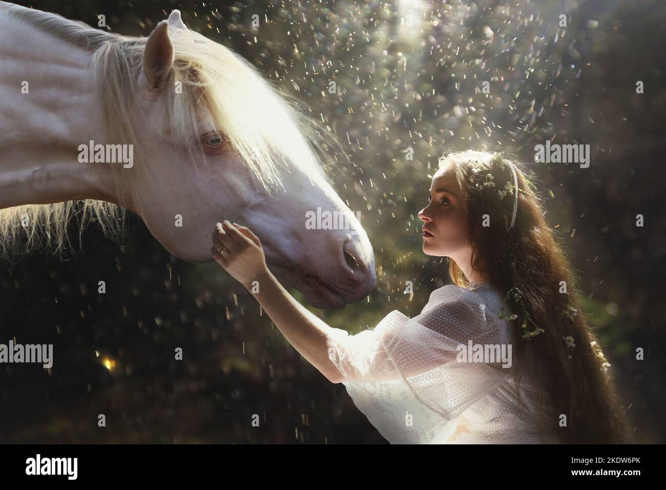 Andalusisches Pferd mit einer Frau Stockfoto
