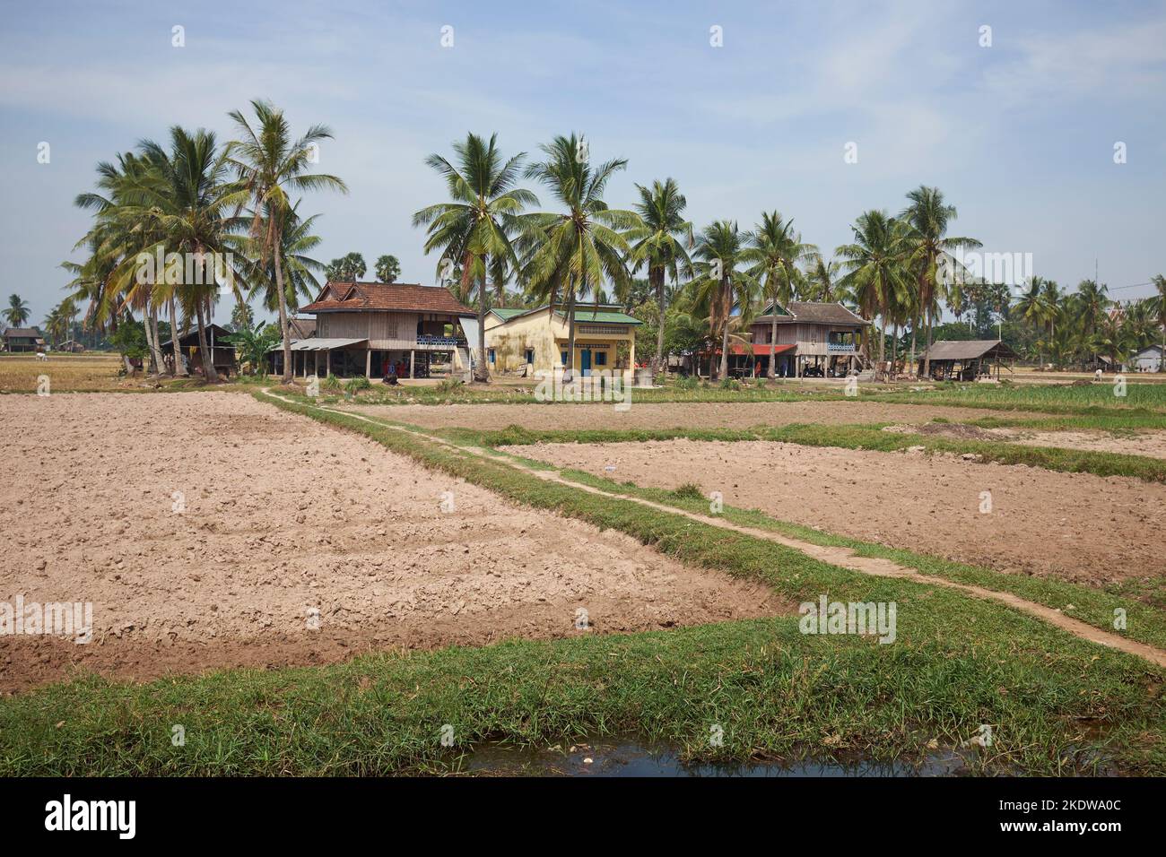 Ackerland Kampot Kambodscha Stockfoto