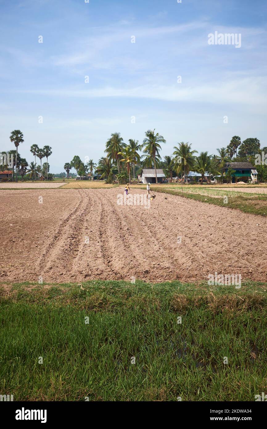 Ackerland Kampot Kambodscha Stockfoto
