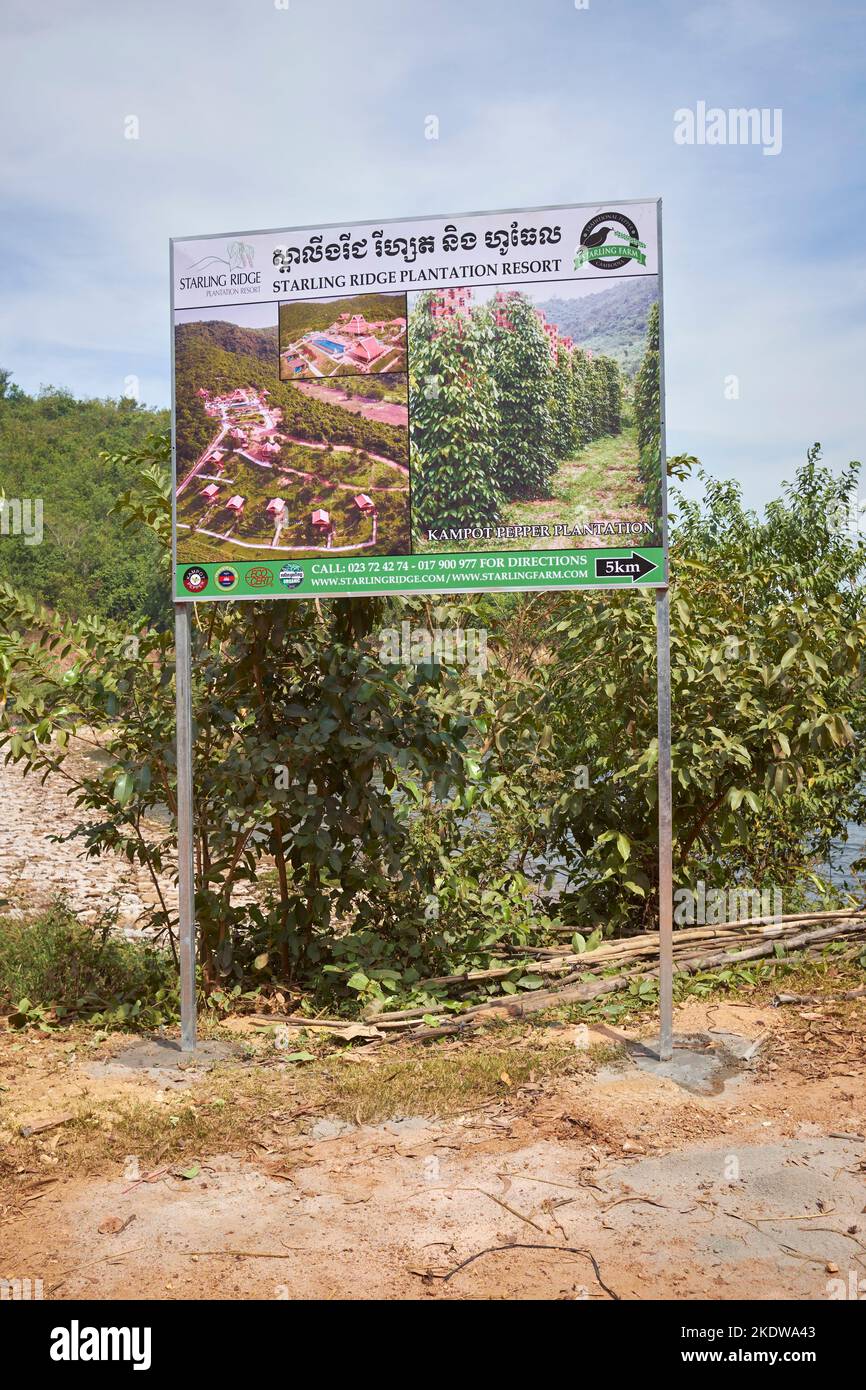 Starling Ridge Plantation Resort Pepper Farm Kep Kambodscha Stockfoto