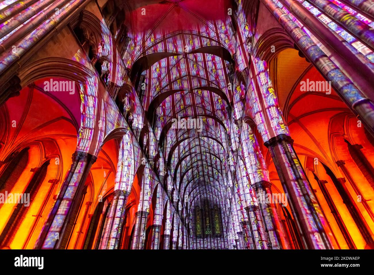 Salisbury, Wiltshire, Großbritannien. 8.. November 2022. Die Sarum Lights Renaissance eröffnet in Salisbury, Wiltshire, und bringt das unglaublich beliebte Licht- und Klangerlebnis in die Salisbury Cathedral, indem sie die Kathedrale mit immersiven Lichtprojektionen und atmosphärischen Klanglandschaften der größten Gemälde und Kunstwerke der Renaissance verwandelt. Besucher können die Renaissance-Welt mit den Augen der Künstler und Kreativen dieser Zeit erleben. Quelle: Carolyn Jenkins/Alamy Live News Stockfoto