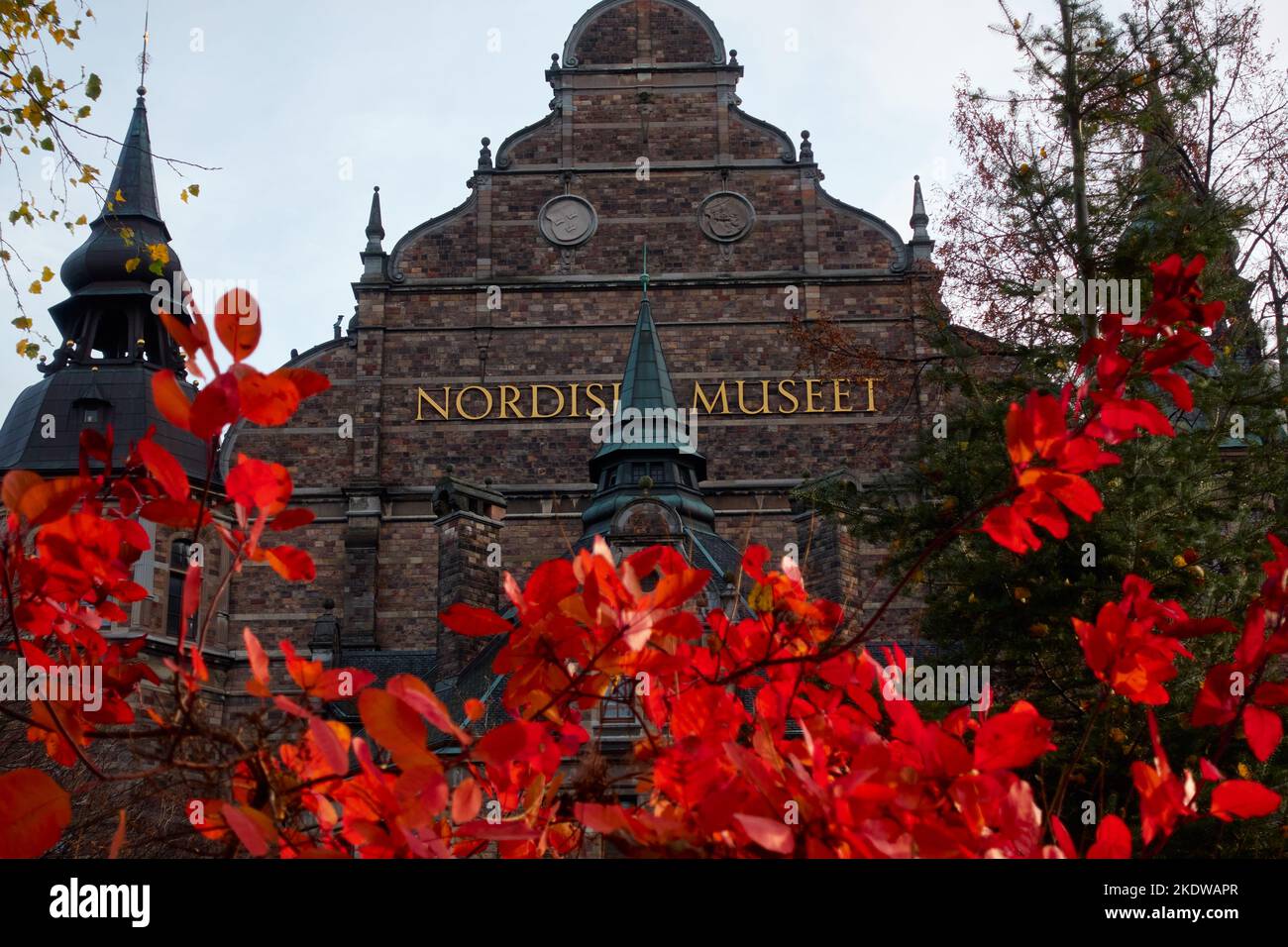 Stockholm, Schweden - 4. November 2022: Nordiska museet (Nordisches Museum) Fassade hinter rotem Herbstlaub in Stockholm, Schweden. Stockfoto