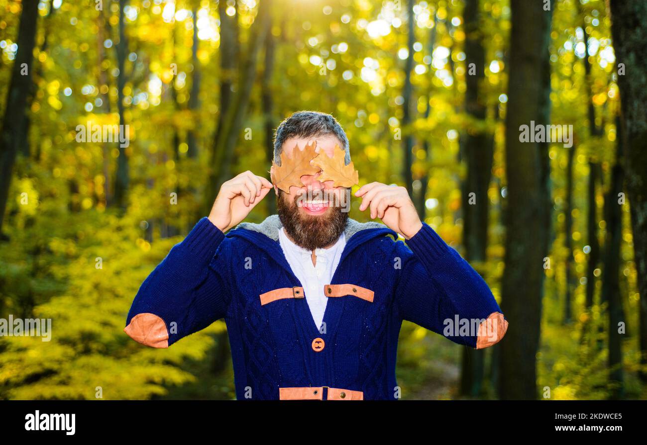 Bärtiger Mann mit Eichenblättern im Park. Herbsthintergrund. Blattfall. Sonniger Tag. Herbstliche Stimmung. Stockfoto
