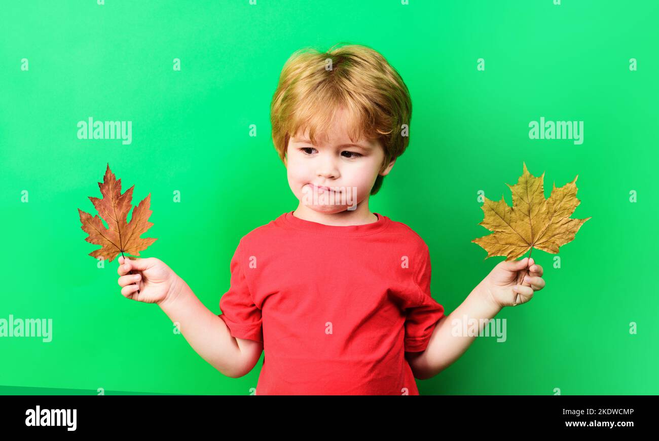 Nachdenklicher Junge, der mit Ahornblättern spielt. Kleines Kind im roten T-Shirt mit gelben Blättern. Stockfoto