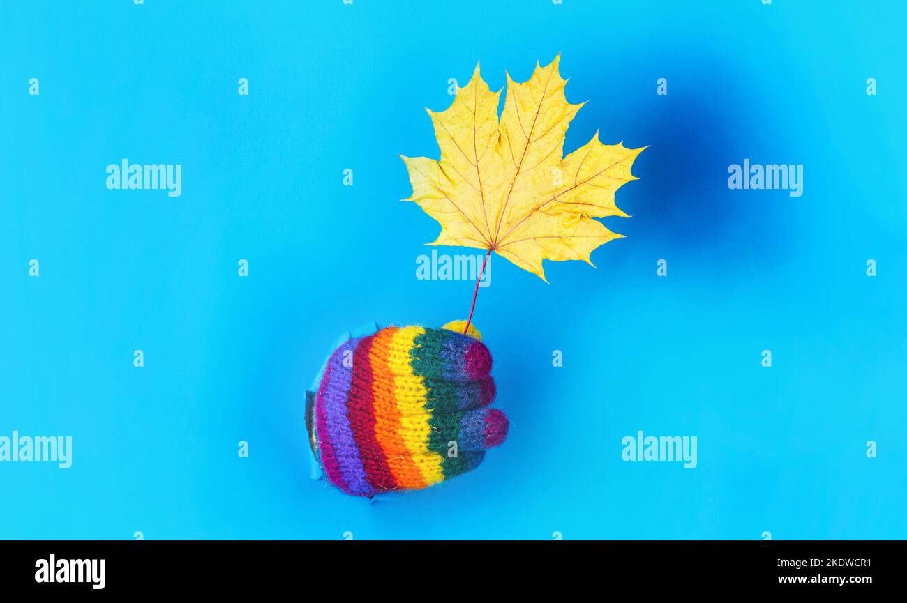 Hand in bunten Handschuh mit gelben Ahornblatt. Herbstlaub. Herabfallende Blätter. Stockfoto