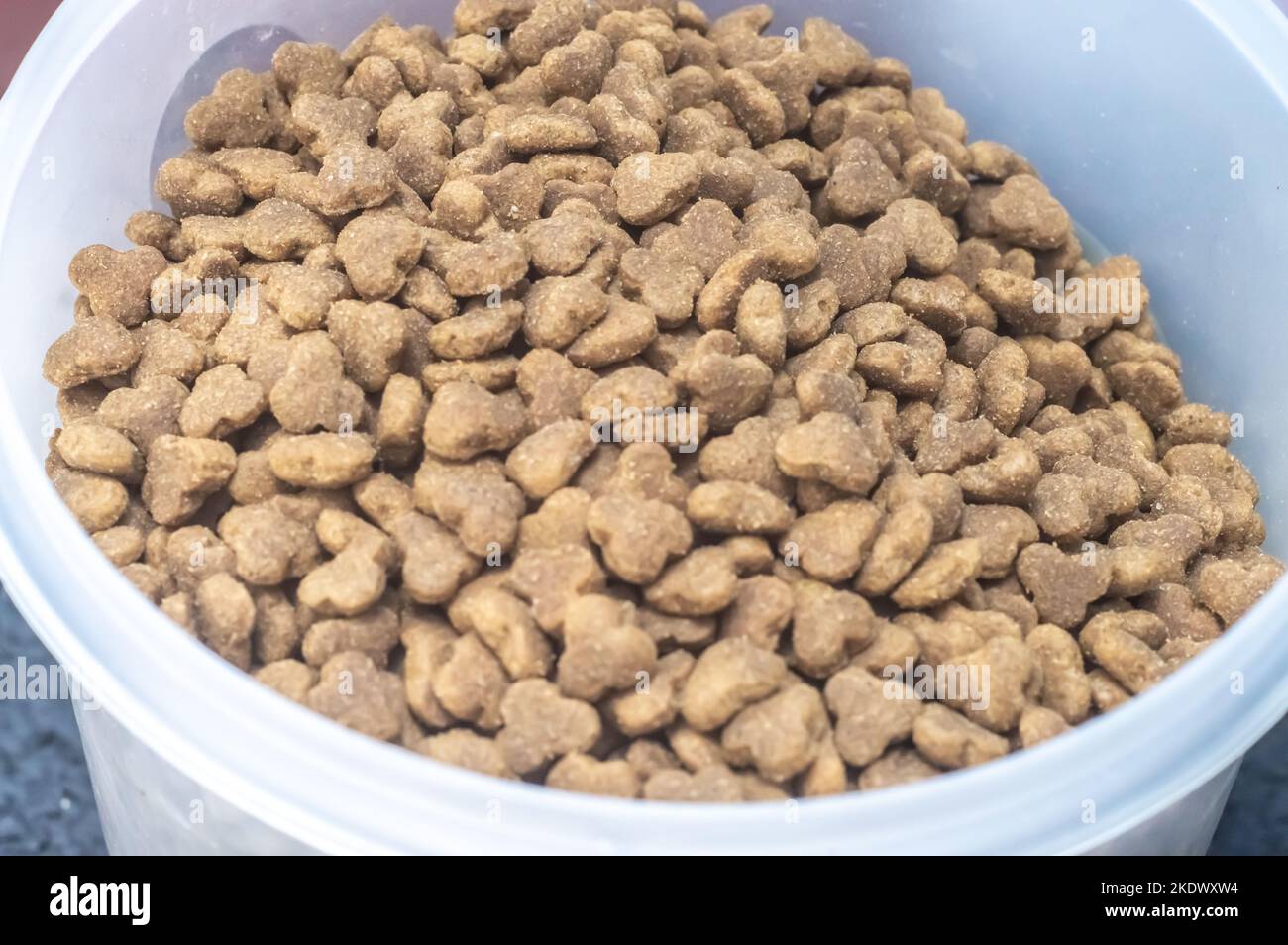 Trockene Tierfutter Hintergrund. Haufen granulierter Tierfutter. Granulat guter Ernährung für Hunde und Katzen. Stockfoto