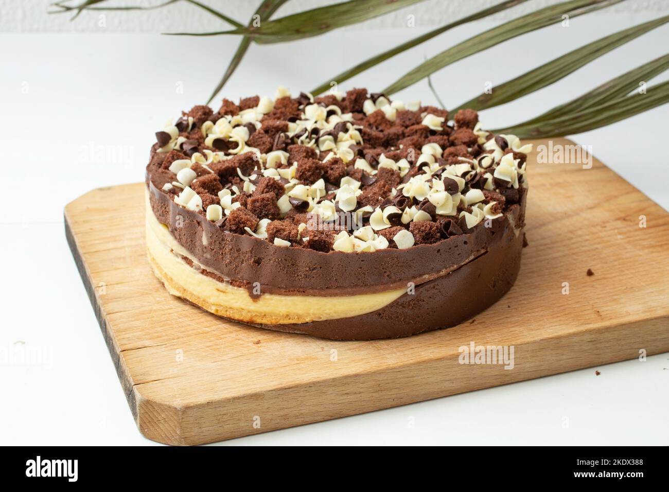 Schokoladen-Vanillekuchen auf einem Holzbrett, mit tropischen grünen Blättern im Hintergrund Stockfoto