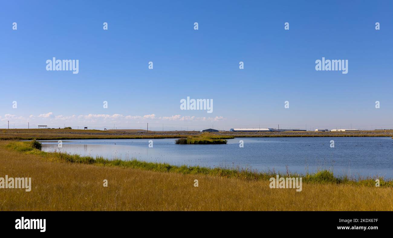 Feuchtgebiete fallen in den Canadian Prairies, Calgary, Alberta Stockfoto