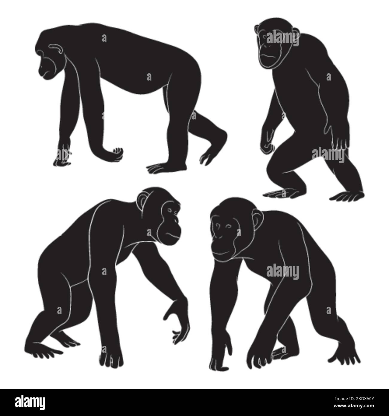 Handgezeichnete Silhouette von Schimpansen Stock Vektor