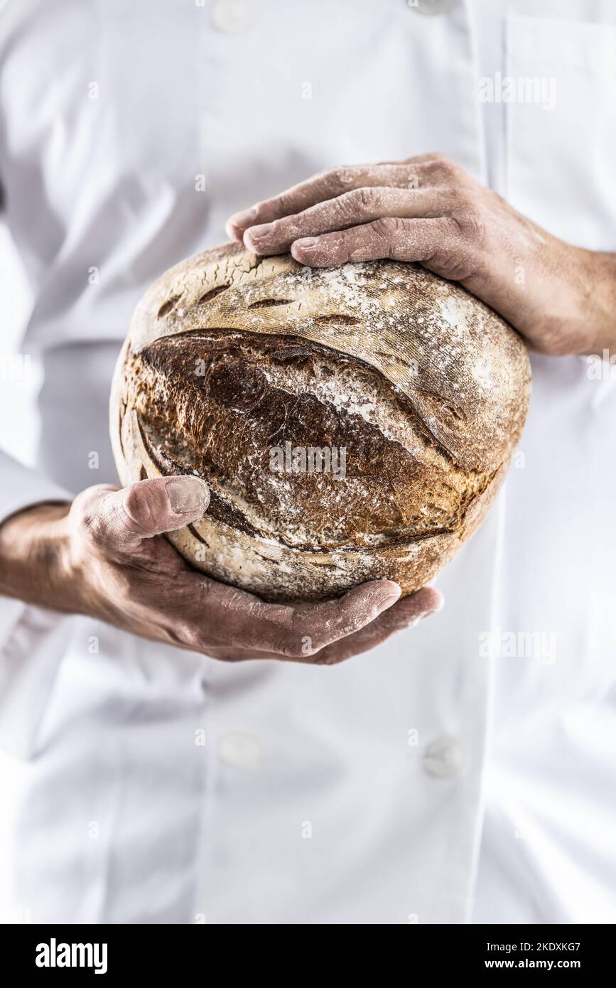 Ein knuspriger Laib frisches Brot in den Händen des Bäckers. Stockfoto