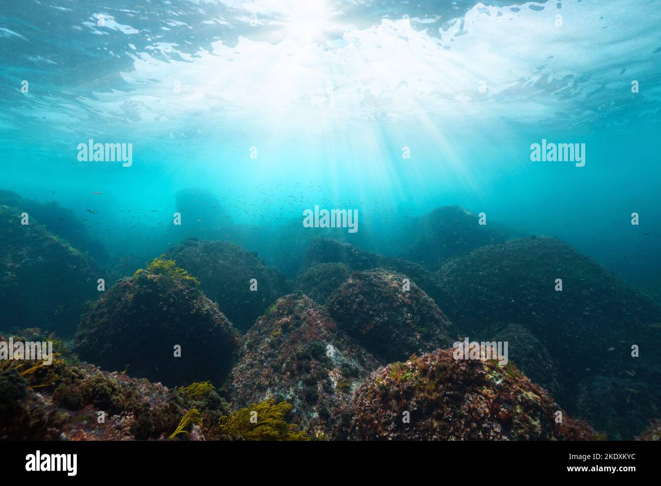 Sonnenlicht unter Wasser mit Felsen auf dem Meeresboden, Atlantik, Spanien, Galizien Stockfoto