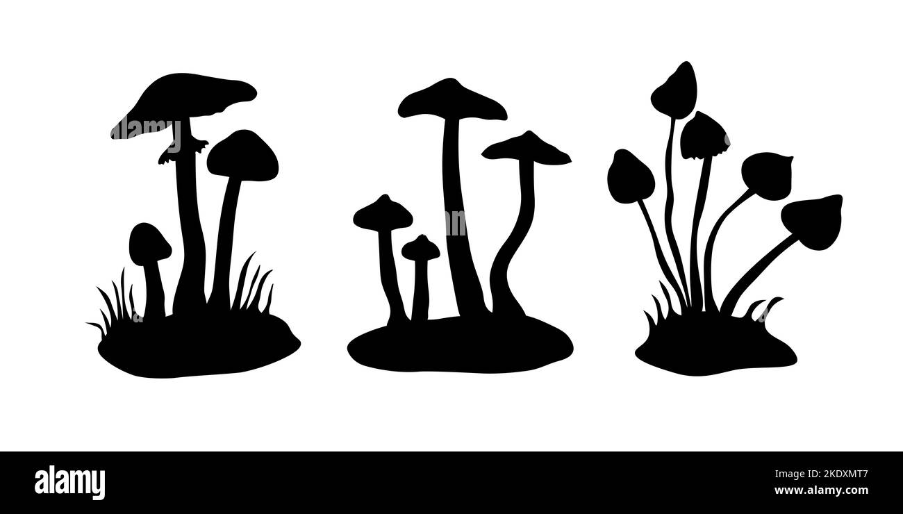 Set aus drei Pilzsilhouetten. Amanita virosa, cortinarius rubellus und Psilocybe semilanceata. Destroying Angel, Deadly Webcap und Liberty Cap Stockfoto