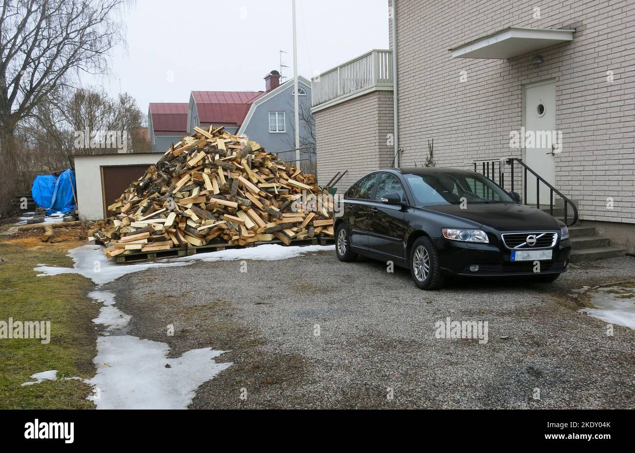 Stapel gespaltenes Brennholz auf dem Hinterhof Stockfoto