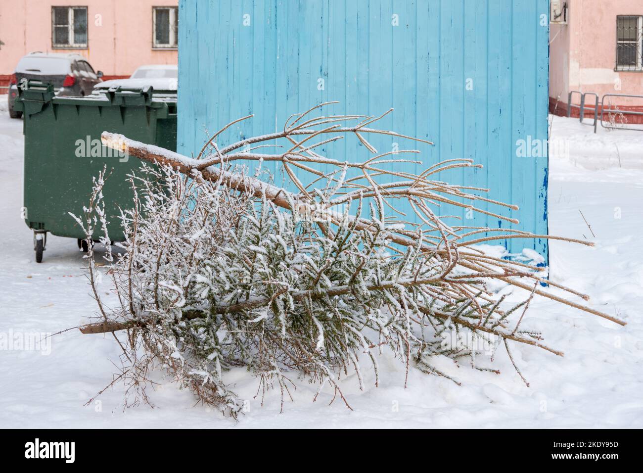 Weihnachtsbaum auf der Mülltonne nach den Neujahrsferien. Recycling Gebrauchter Trockener Weihnachtsbäume. Neujahrsbaum Müllkippe Stockfoto