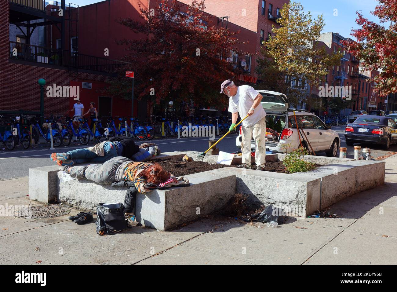 Ein Gärtner neigt zu einem Gehwegsbepflanzer, auf dem mehrere Menschen schlafen, auf einer Straße in Cobble Hill, Brooklyn, New York. Stockfoto